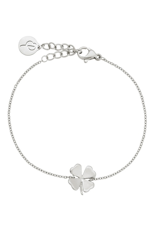 Lucky bracelet steel 2