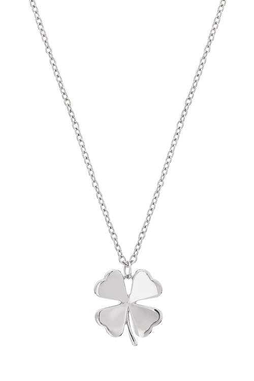 Lucky necklace steel 2