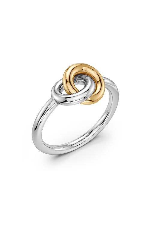 Edblad Eternal Mini ring i stål och guld – MQ Marqet