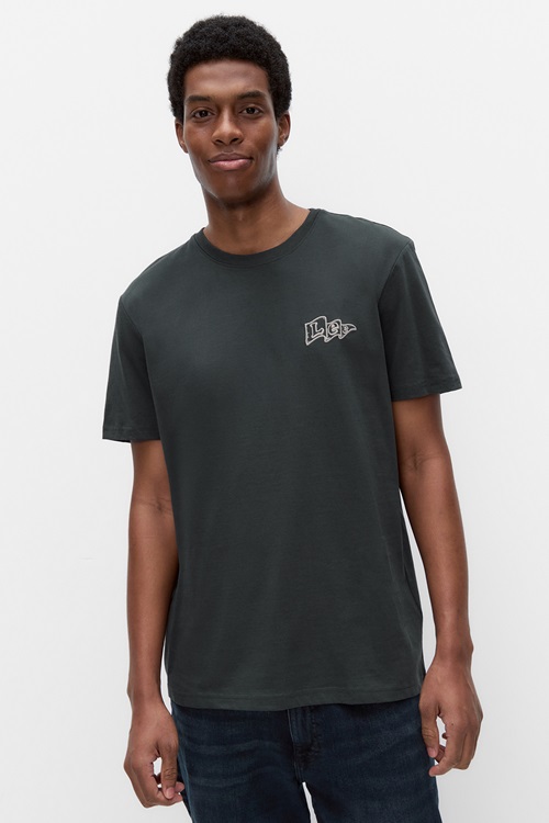 Lee Flag Tee t-shirt i bomull – herr, washed black